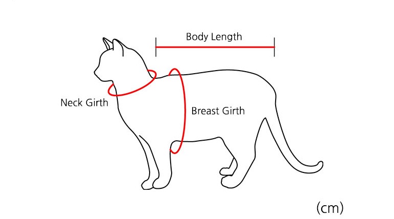 Catspia size chart